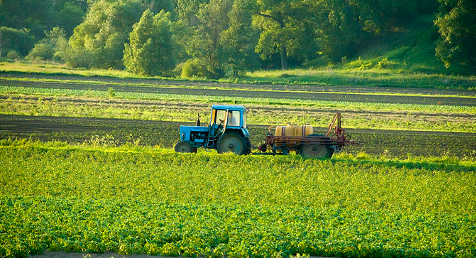 Правительство распределило более 12 млрд рублей субсидий на поддержку растениеводства 