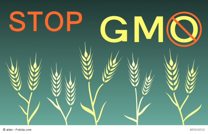 В России введен запрет на выращивание и разведение ГМО