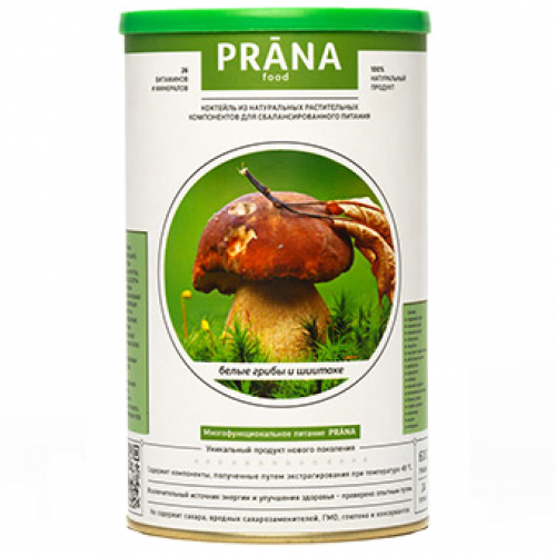 Суп Prana food сухой - Лесные Грибы